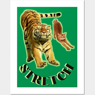 Stretch exercise by a tiger and a cat - black text Posters and Art